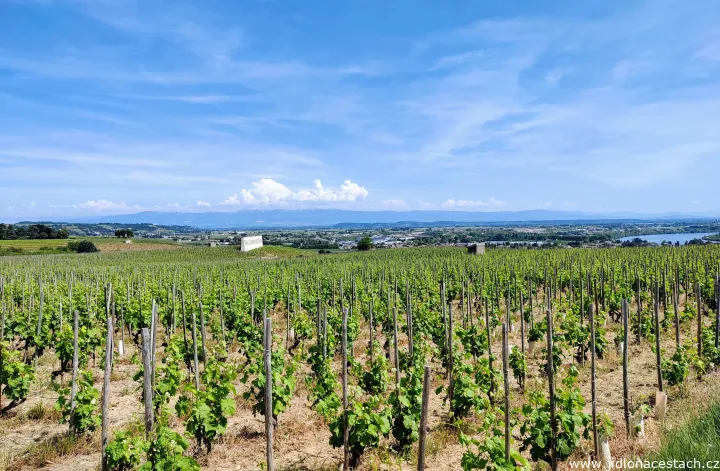 Na břehu Rhôny v Tain-l'Hermitage
