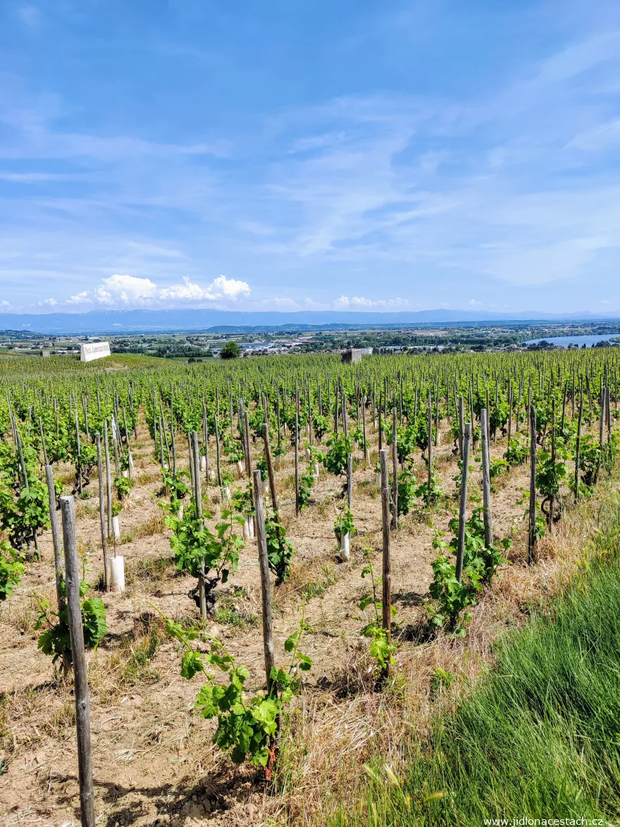 Vinice Tain-l'Hermitage