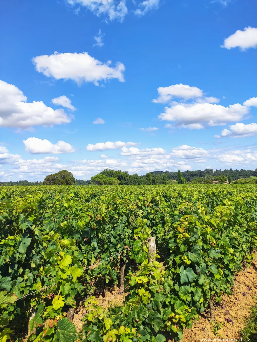 Les vignobles autour du village de Saint-Émilion. Pour moi, le plus bel endroit de toute la France.
