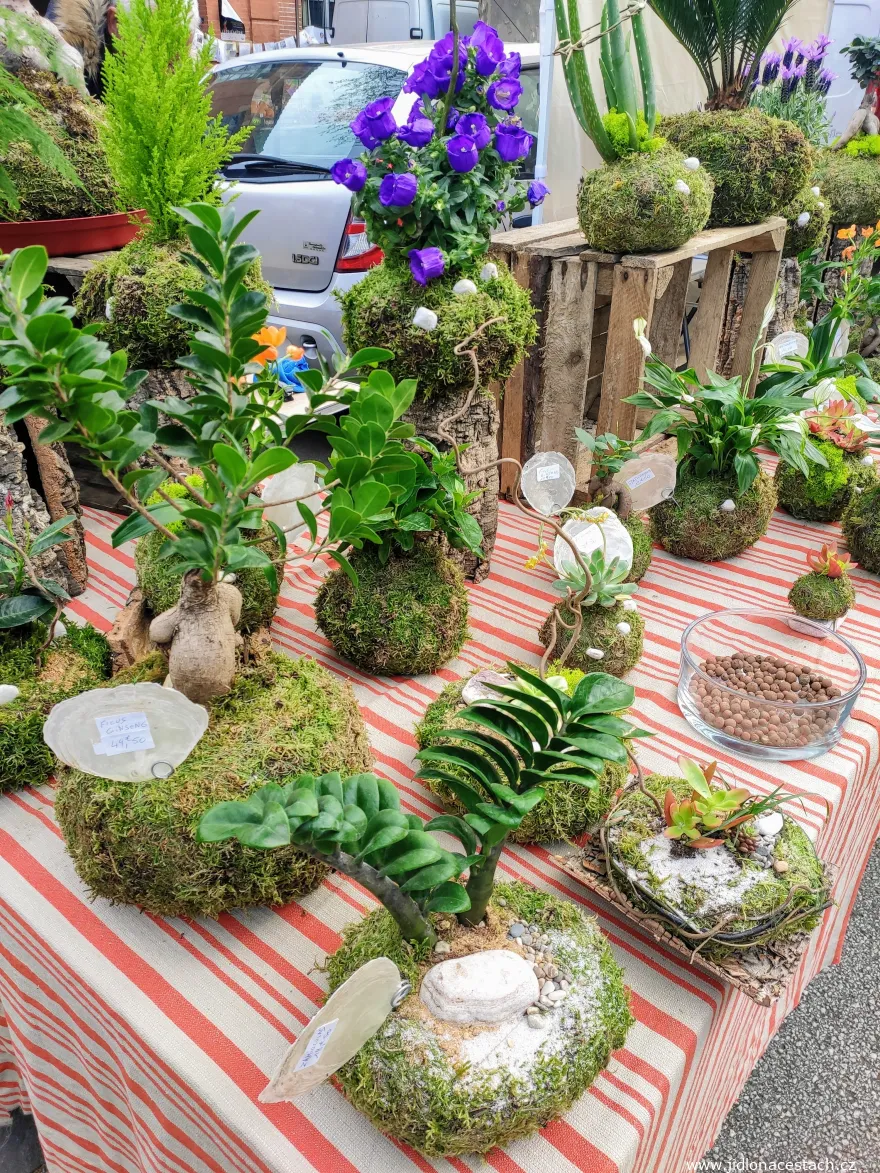 Ornamental plant stand
