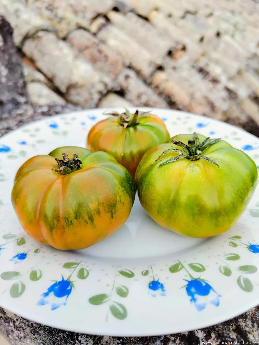 Costoluto tomato Costoluto tomato