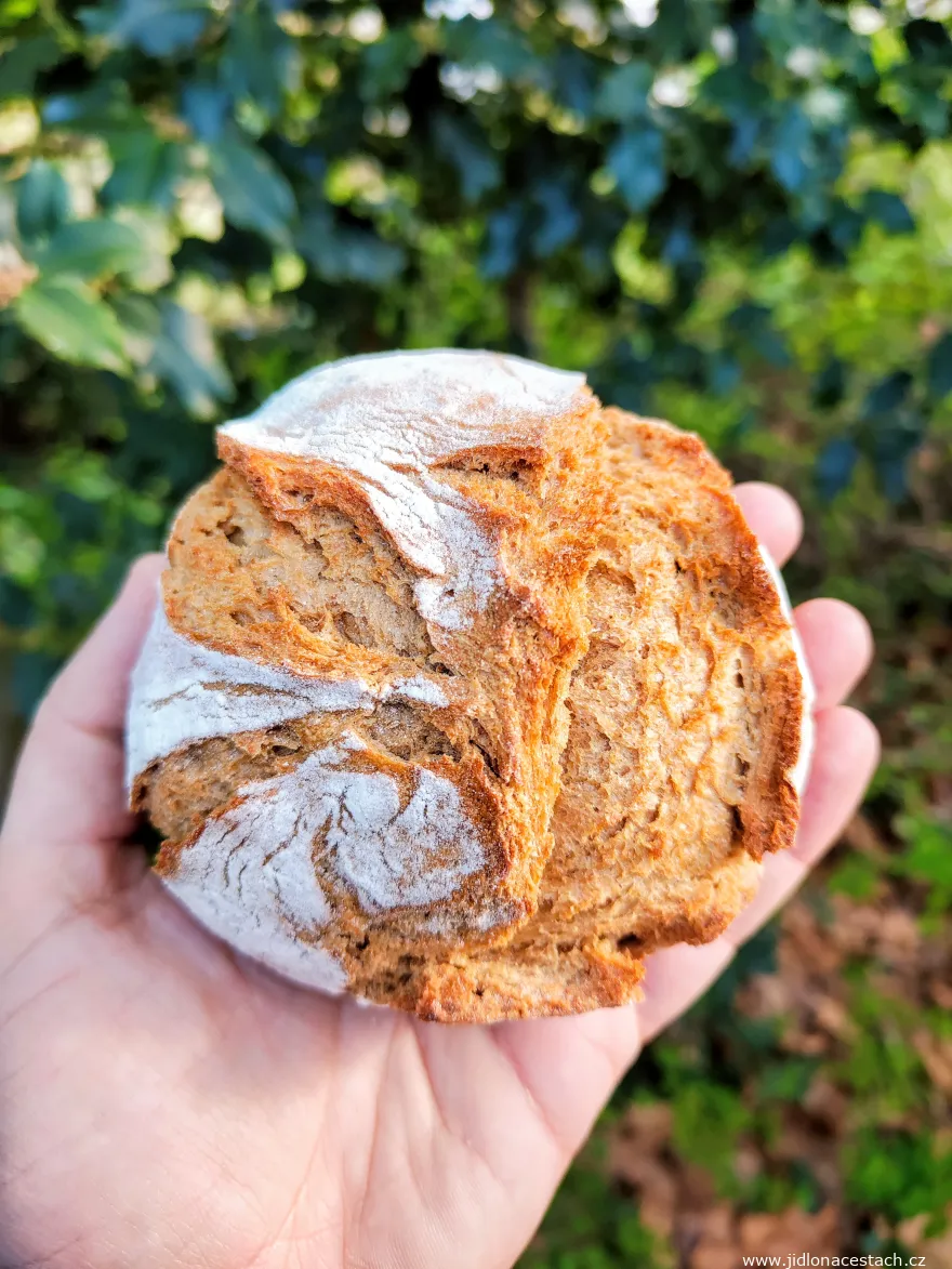 Kartoffelbrötchen