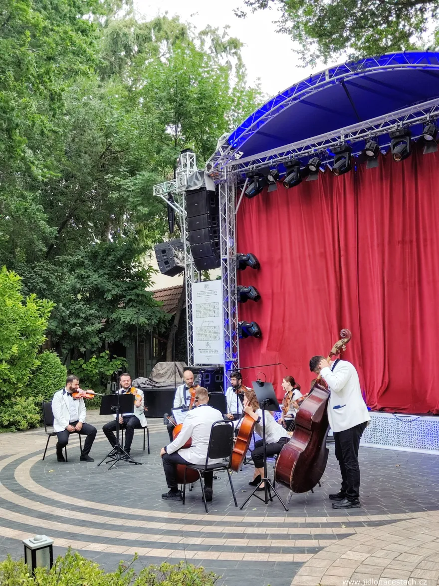 Musical performance at Tavern Yerevan Riverside