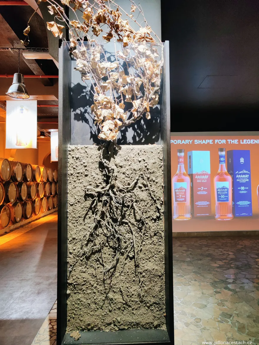 Muzeum brandy Ararat v Jerevanu - rostlina vinné révy