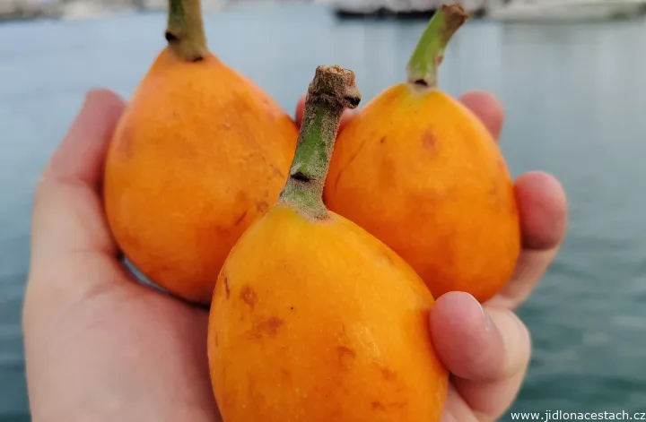 Nispero de Callosa: The Golden Fruit