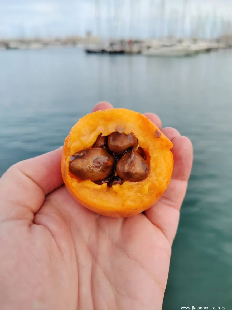 Inside Nispero de Callosa fruits.