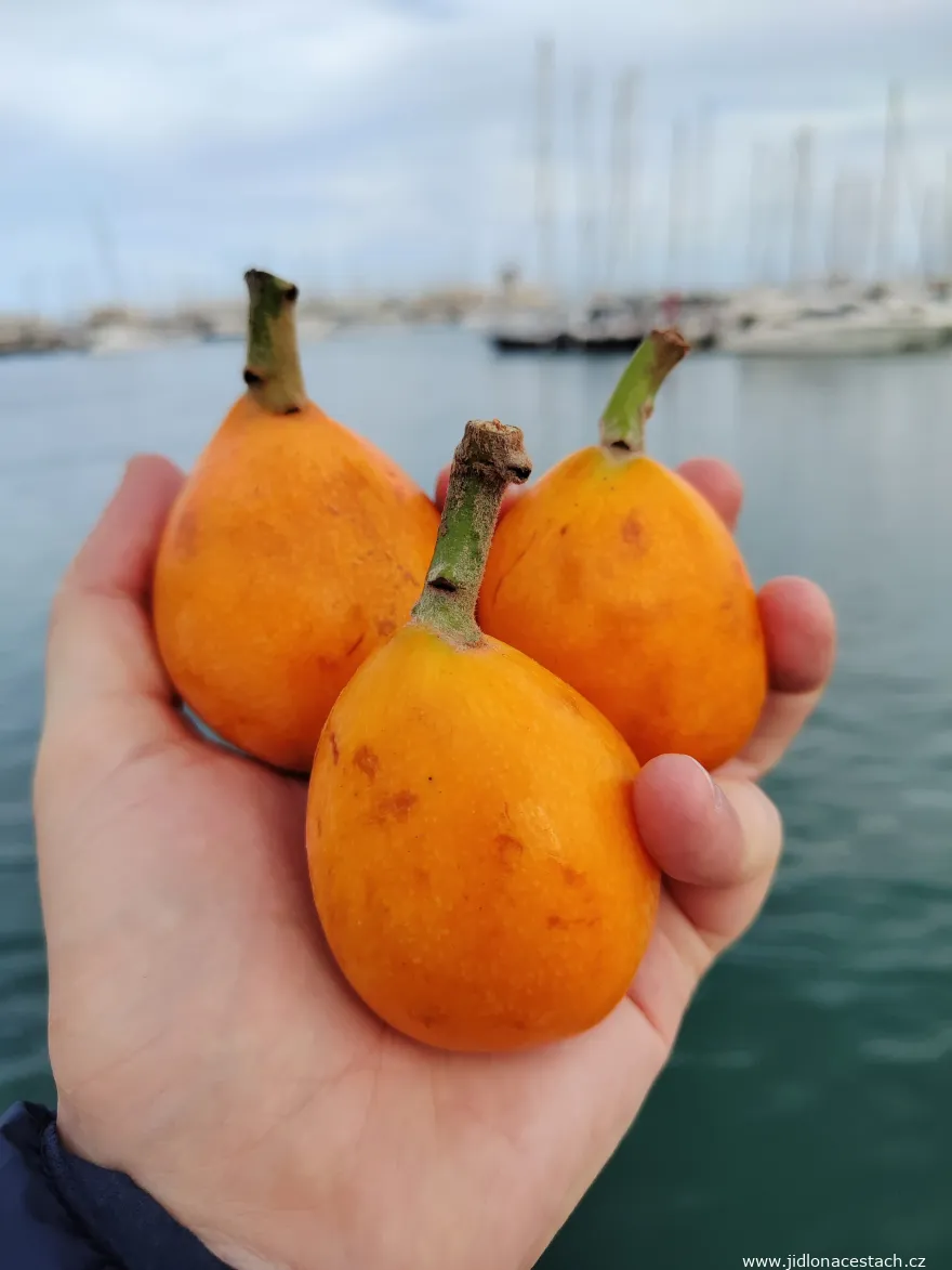 Nispero de Callosa fruits. Nispero de Callosa fruits.