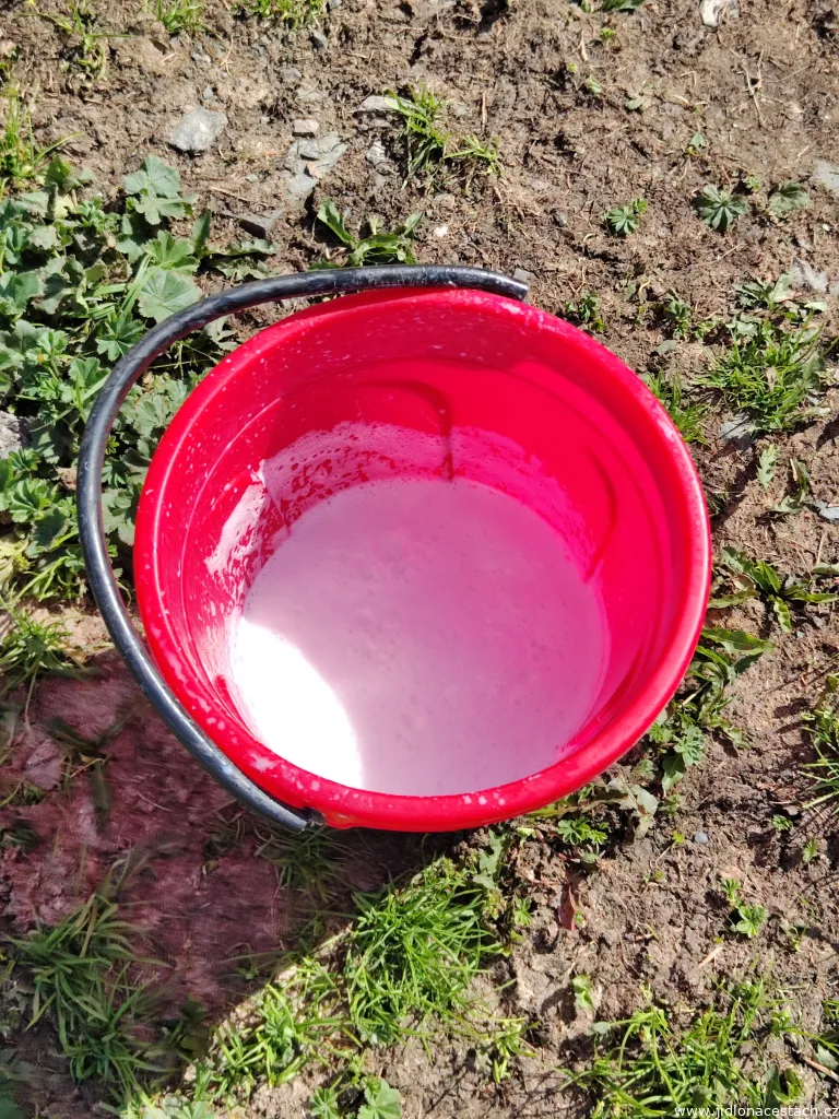 Lait de jument fraîchement trait.