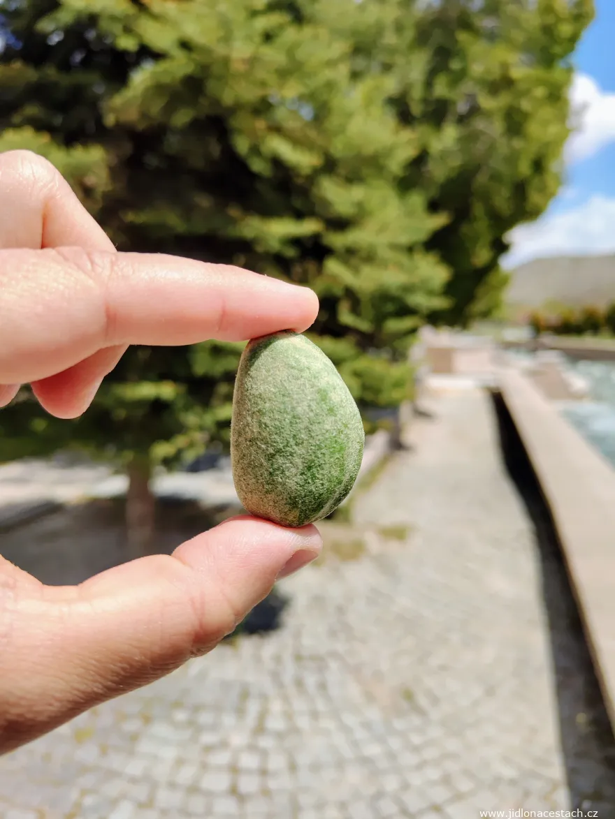 Çağla badem : les amandes vertes non mûres. Une gourmandise printanière très appréciée en Turquie. Çağla badem : les amandes vertes non mûres. Une gourmandise printanière très appréciée en Turquie.