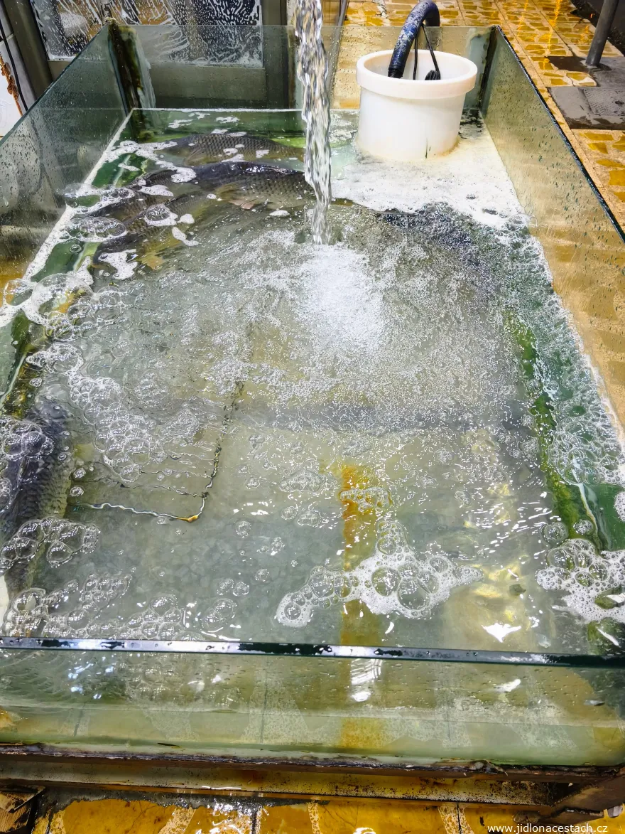 Masgouf : le bassin aux poissons vivants. Masgouf : le bassin aux poissons vivants.