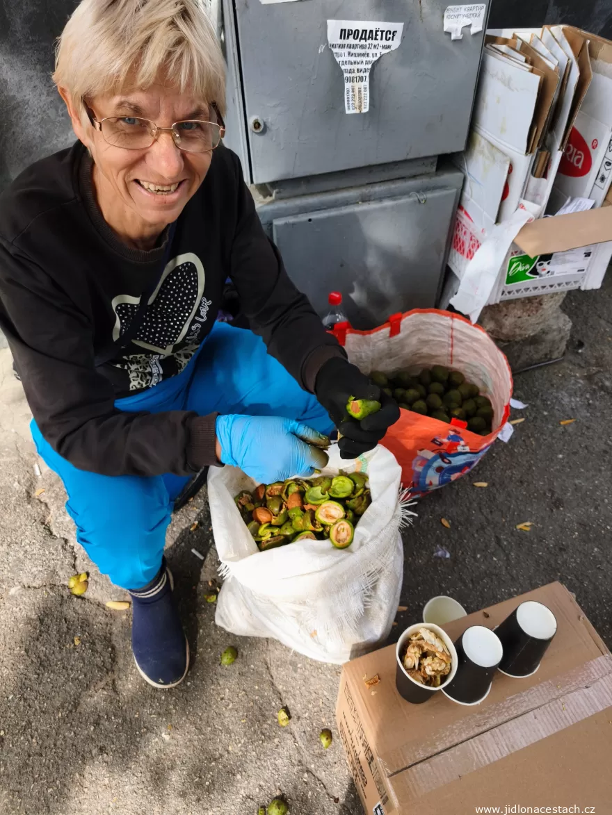 Walnuts: peeling fresh walnuts out of their green husks. Walnuts: peeling fresh walnuts out of their green husks.