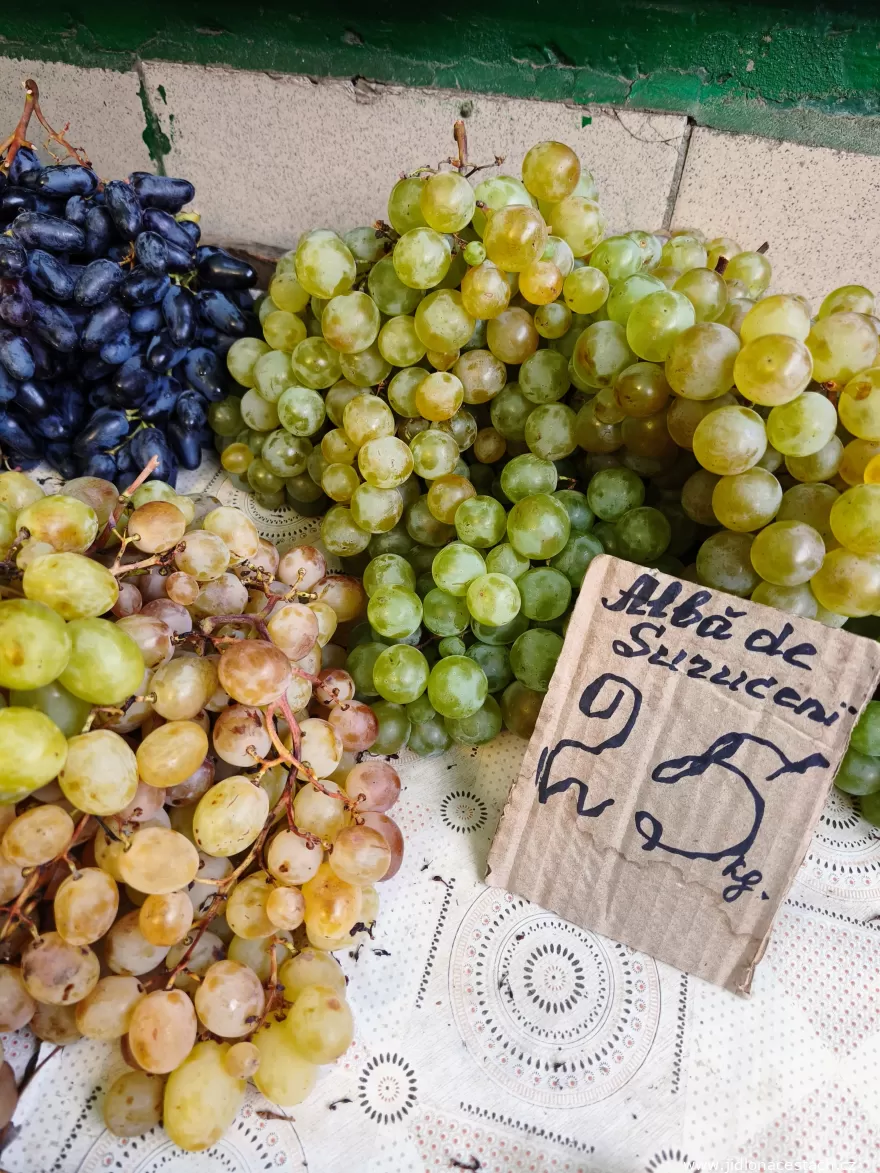 Piața Centrală: table grapes under the Albă de Suruceni sign. Piața Centrală: table grapes under the Albă de Suruceni sign.