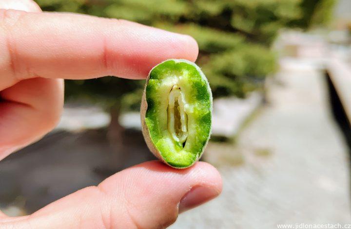 Çağla badem: nezralé zelené mandle