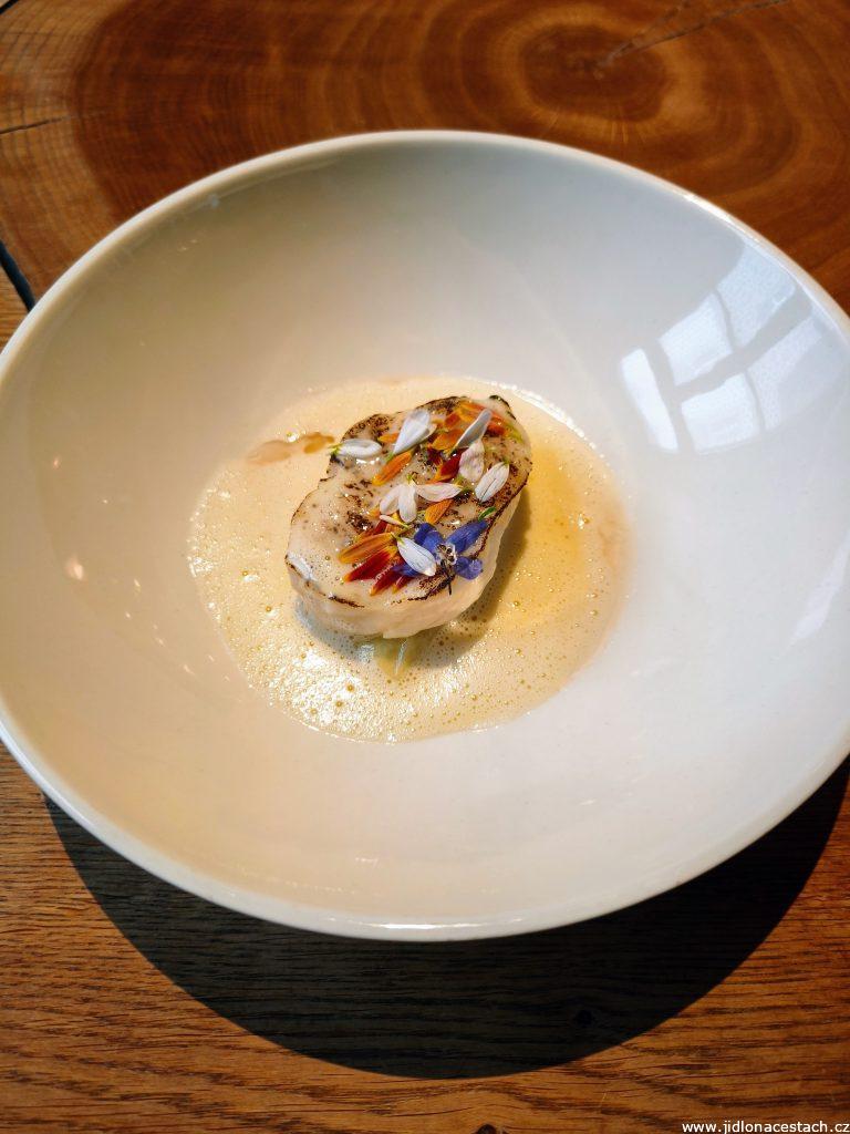 Restaurace La Degustation Bohême Bourgeoise: sumec, zelí, medvědí česnek.