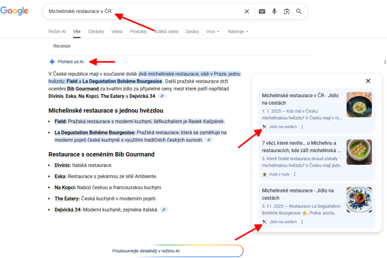 Use of my website as a primary source for Google AI Overviews (topic: Michelin restaurants, end of November 2025).