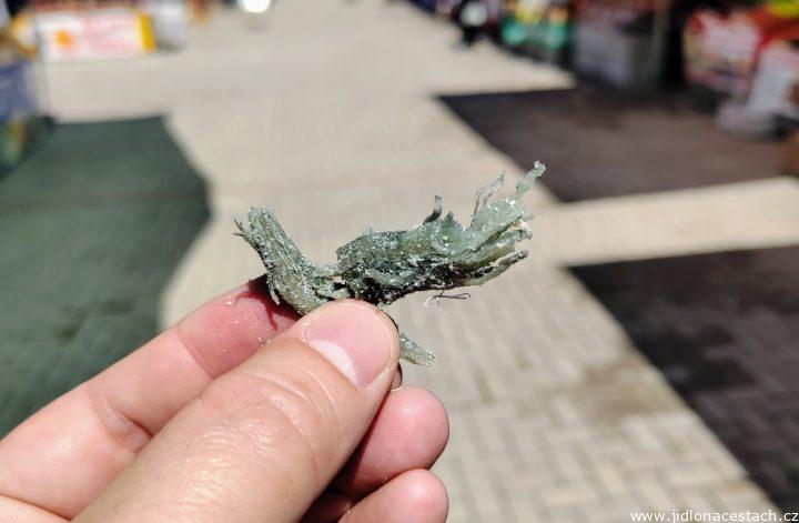 Erzurum göğermiş: turecký vláknitý plesňový syr